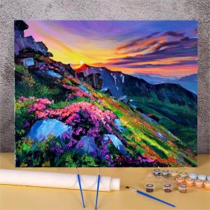 Handgemaltes Malen nach Zahlen mit Acrylfarbe, Zeichnung, Bild für Schlafzimmer, Wand, Heimdekoration, Sonnenuntergang, Landschaftsmalerei