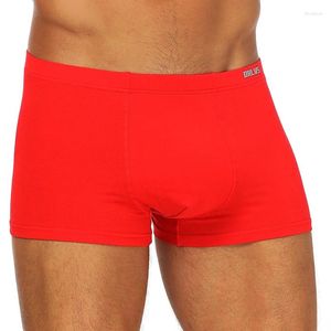 Mutande 50 PZ/LOTTO Commercio All'ingrosso Quick Dry Uomo Boxer Biancheria Intima Sexy Pantaloncini Solidi Mutandine Maglia Indumenti Da Notte Maschili Cueca