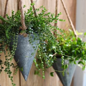 Cestini Vaso da fiori sospeso a forma di cono industriale vintage per cesto portaoggetti fissato al muro per giardino interno ed esterno