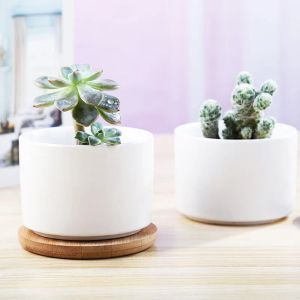 Planters White porcelain pot modern simple ceramic succulent pot Home gardening pot home decoration tabletop decoration ins Nordic style