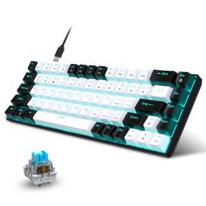 68 Keys Mechanical Keyboard Ergonomics RGB Backlit LED Swappable Blue Switch Gaming for PC Laptop Office 240309