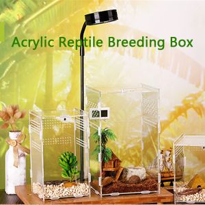 Terrariums Acrylic Transparent Reptile Terrarium Habitat Breeding Box Reptiles Turtle Cage Nano Arboreal Tarantula Enclosure Dearded Dragon