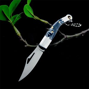 2 Models Outdoor Mini Folding Knife 440C Blade Acrylic Handle Car Key Pocket Knife EDC Tactical Self Defense Hunting Camping Knives 535 533 15535 15006