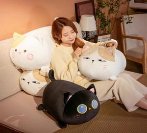 3550cm Lovely Cartoon Squishy Fatty Cats Plush Toy Pillow Stuffed Soft Cute Animal Kitten Appease Dolls for Children Girlfriend G6597445