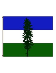Independence Movement Cascadia Flags Banners 3X5FT 100D Polyester Design 150x90cm Fast Vivid Color With Two Brass Gro5138623