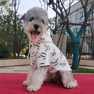 Pet Malzemeleri Giysileri Net Kırmızı Sweater Köpek Giysileri İlkbahar ve Sonbahar Kış Hoodie İki ayaklı kıyafetler Yüksek Quaitly