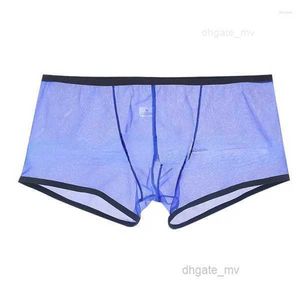 Underpants Panties Mesh Low Rise Transparent Qucik-Dry Men See Through Ultra-thin Boxer Briefs Shorts U Convex Pouch Underwear