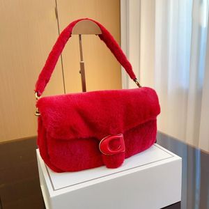 Alta Qualidade Designer Bag Bolsa De Ombro Bolsa De Luxo Triângulo Sinal Cross Body Bags Multifuncional Clássico Simplicidade Moda Tendência Villous Underarm Bag