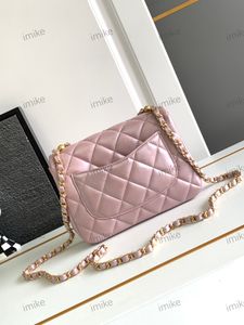10A Mini-Tasche Damentasche Tasche mit Perlenklappe 24 P High-End-Einzelschulter-Diagonal-Straddle-Tasche aus Schafsleder