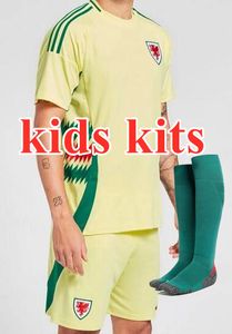 2024 25 Wales Soccer Jerseys BALE WILSON ALLEN RAMSEY World National Team Cup Rodon VOKES Home Football Shirt Short Sleeve Adult Uniforms Fans Player Version 9404