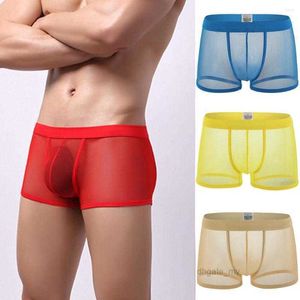 Underbyxor män mesh boxer shorts sexig transparent bugel påse trosor låg midja tunt andningsbara plus storlek underkläder