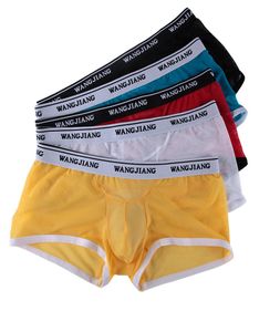 Whole Men039s Underwear man Transparent Underpants Boxer Shorts WANGJIANG Super Thin Mesh Comfortable s 5001PJ7074855