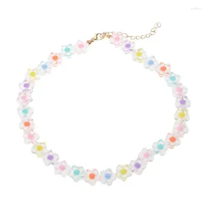 Choker flowe pärlstav gradientfärgade halsband smycken party dropship