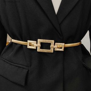 Bälten Fashion Elastic Gold Chain Belt Kvinnlig midja Punk Y2K Goth Silver Metal Belts For Women High Quality Luxury Golden Midjebandy240315