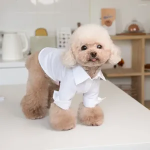 Abbigliamento per cani Cappotto Abbigliamento Gilet Abbigliamento Camicia Autunno Inverno Gatto Abito da sposa Teddy Cucciolo Animale domestico bianco
