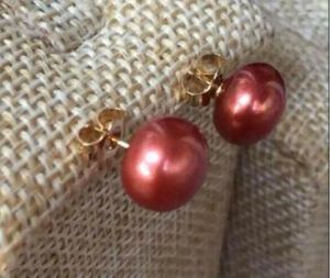 Studörhängen enorma 12-11mm Perfect South Sea Red Pearl Dangle Earring