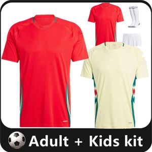 Wales 2024 2025 Jersey Wilson Ramsey Bale Euro Cup Nowy drużyna narodowa 2025 24 25 koszula piłkarska mężczyźni Kit Kids Pełny zestaw domowy mundurek męski Johnson 16-4xl