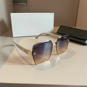 Designer Celinr Sunglasses Women Celinr Sunglases Men Retro Cat-eye Oval Polygon Shopping Travel Party Clothing Photography 742