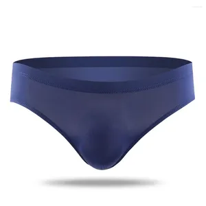 Mutande Comode Intimo da uomo Mutandine Slip Alta elasticità L-3XL Lingerie Custodia in nylon Sexy tinta unita trasparente Primavera