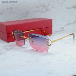 Rahmen-Sonnenbrille, Diamantschliff-Sonnenbrille, Herren und Damen, stilvoll, Draht-C-Designer, Carter-Sonnenbrille, Fahrsonnenbrille, Outdoor-Schutz