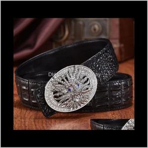 Men Designer Crocodile Leather Belt Fashion Luxury Glittering Diamonds 3D Dragon Smooth Buckle 125Cm 12 Models Jdbd7 Belts Vz8Ll258L
