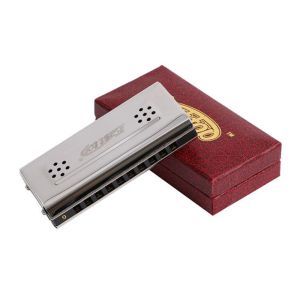 الآلات الشرق Top 10 Hole متضاعف Harmonica 2in1 Diatonic C G Harmonica المبتدئين Aldult Blues Harmonica