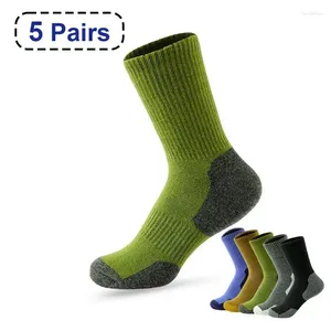 Men's Socks 38-43 2024 Matching And Spring High Breathable 5 Color Autumn Quality Sports Thick Casual Warm EU