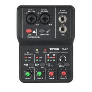 Interfaccia audio portatile Mini mixer professionale per scheda audio esterna 48V Computer per chitarra Studio PC Registra attrezzatura Teyun Q-12 240314