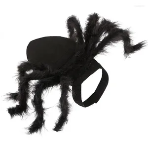 Costumi per gatti Halloween Pet Dog Cloth Spider Nero Carino Fancy Dress Up Piccoli vestiti Cucciolo Gattino Senza restrizioni