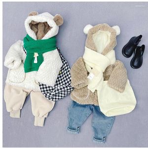 Casaco para baixo do bebê meninas meninos jaqueta engrossar lã quente crianças personagem com capuz outono inverno 2024 criança outerwear topos roupas
