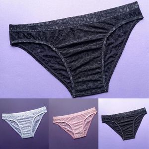 UNDUPTS Erkekler Kılavuzları Seksi Şeffaf G-String Bikini Erkekler Dantel Sheer Pouch Thongs iç çamaşırı sissy külot yüksek kaliteli