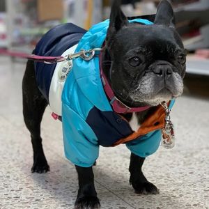 防水ビッグドッグダウンジャケット冬の温かい犬の服小さな中程度の大きな犬フランスのブルドッグパグフード付きコートペット衣類240301