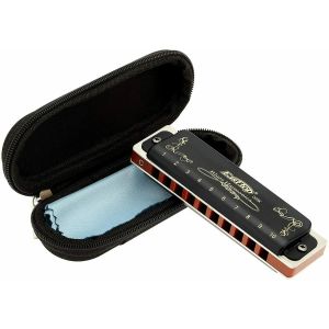 Instrument Easttop harmonica blues polyfonic 10 22 24 hål nyckel av c g xmas gåva för barn