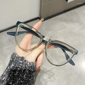 サングラスフレームアンチブルーライトレイの眼鏡メガネファッションクラシックコンピューターデザイナーキャットアイウェア男性2024