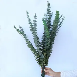 Flores decorativas eucalipto planta kit 10 pçs ramos de folhas naturais para não-murchando casa vaso decoração po adereços reutilizáveis verde