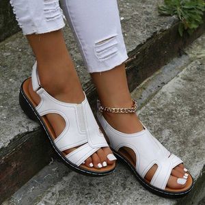 Sandali da donna casual estivi HBP Non-Brand nuovi modelli di pantofole da donna piatte