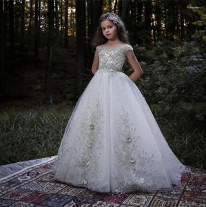 Sukienki dla dziewczynek luksusowy kwiat A na wesele srebrne koronkowe aplikacje