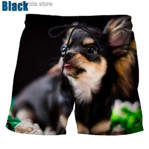 Herren-Shorts, voll bedruckt, Tier-Hunde-Muster, Strand-Eis-Shorts für Männer, lässige Chihuahua-Boardshorts, Sommer, übergroße Herren-Schwimm-Surf-Jams Y240320