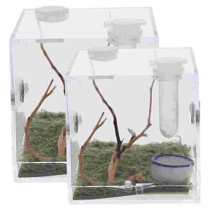 Kitler 2 PCS Terrarium Jumping Spider Sürüngen Tutucu Konteyner Sürüngen Böcek Habitat Kılıfı Salyangoz Akrilik Muhafaza