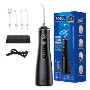 Subort Oral Dental Irrigator USB Şarj Edilebilir Su Flosser Taşınabilir Dental Su Jeti 260ml Su Deposu Su geçirmez Dişler Temizleyici 240307