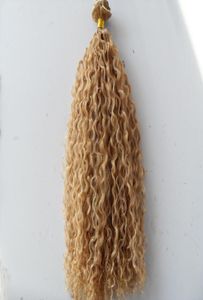 Brezilyalı kıvırcık saç atkı klipsi doğal kinky kıvrımlı örgüler işlenmemiş sarışın insan bakire remy uzantıları Çin saçları5661511