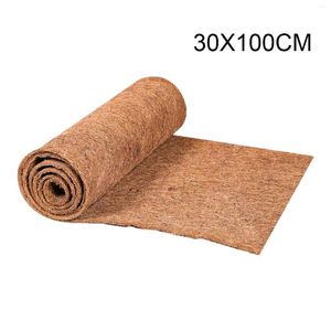 Mattor Ingen dörrmatta foderrulle 30/40/50x100cm Coconut Fiber Palm Coir Cuttable Floor Brand