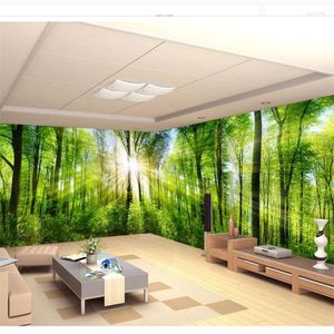 Wallpapers Wellyu Papier Peint Wallpaper For Walls 3 D Custom Full View Of The Huge Forest Landscape Panorama Wall Behang