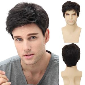 Parrucche sintetiche Parrucche in pizzo GNIMEGIL Parrucche da uomo Capelli corti Sintetici Colore marrone scuro Parrucche naturali con frangia Tagli di capelli corti alla moda Parrucca maschile Cosplay Quotidiano 240328 240327