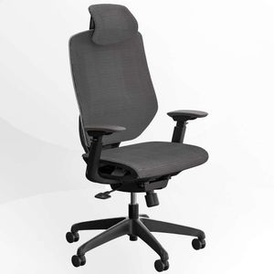 FLEXISPOT Поворотное компьютерное кресло с высокой спинкой, регулируемой глубиной сиденья и 3D-подлокотником - серый