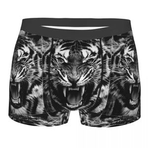 Underbyxor Tiger Bucktooth Mens Underwear Boxer Shorts trosor Heta andningsbara underbyxor för Homme S-XXL 24319