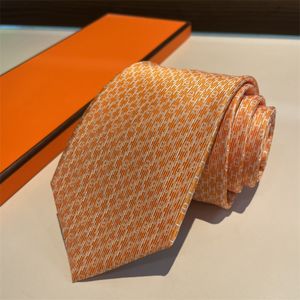 Gravata de pescoço de designer de luxo masculina gravata de seda cavalheiro artesanal bordado marca cravate terno camisa de negócios gravatas com caixa