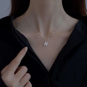 classic van clover necklace Lucky Clover Necklace for Women Small and Luxury Versatile Design 2024 New High end Collar Neckchain Gift