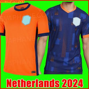 2024 Paesi Bassi MEMPHIS Coppa dei Campioni 24 25 Maglia da calcio olandese DE JONG VIRGIL DUMFRIES BERGVIJN 2024 2025 KLAASSEN BLIND DE LIGT maglia da calcio da uomo per bambini kit