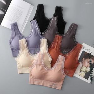 Camisoles Tanks Bra Lace Sexy Women Top |快適なソリッドカラーアウトワイヤレスシームレスアンダーウェアベスト女性ランジェリー